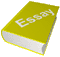 essay